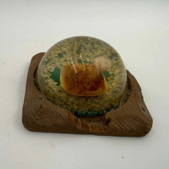Vintage Domed Paperweight Horseshoe Crab & Shells Cedar Wooden Base - Picture 4 of 7